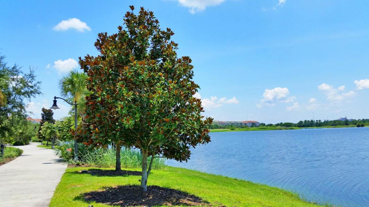 Apartamento Beautiful At Vista Cay Near Wdw *